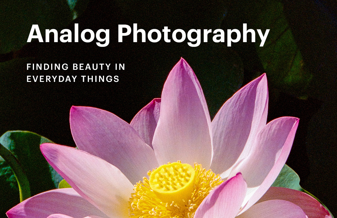 Analog Photography